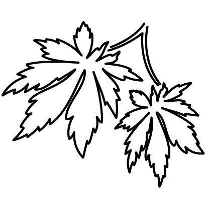 Acer yamamomiji icon (bw)