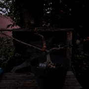 #E0002 thumbnail