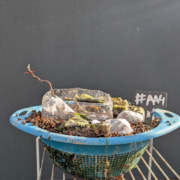 #AA0004 latest image