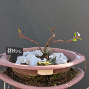 #MD0002 latest image