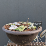 #AT0011 latest image