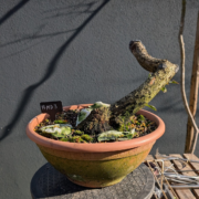 #MD0003 latest image