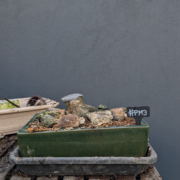 #PM0003 latest image