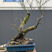 #HB0005 latest image