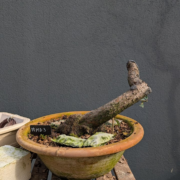 #MD0003 latest image