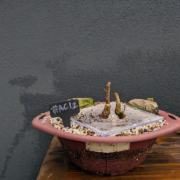 #AC0012 latest image