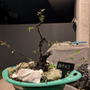 #E0063 latest image