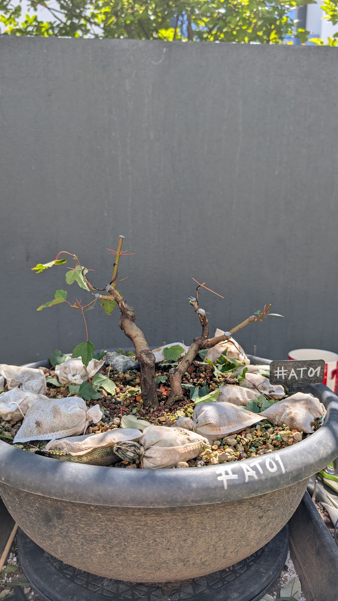 Acer Trident #AT001