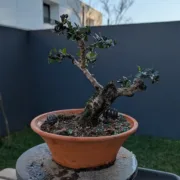 4 Jan 2025