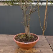1 Apr 2025