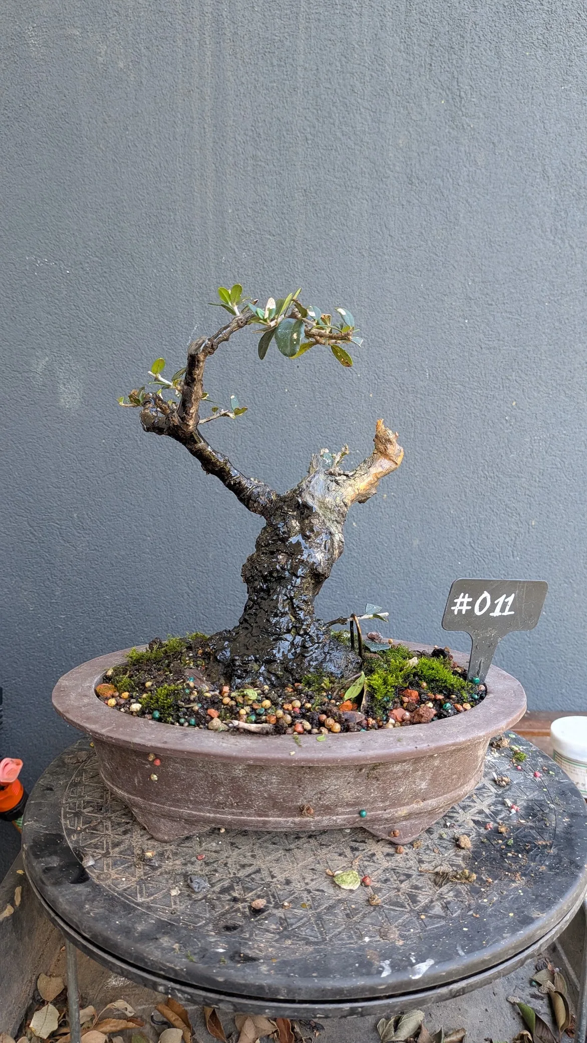 #O11 2 Sep 2026