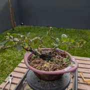 6 Nov 2024