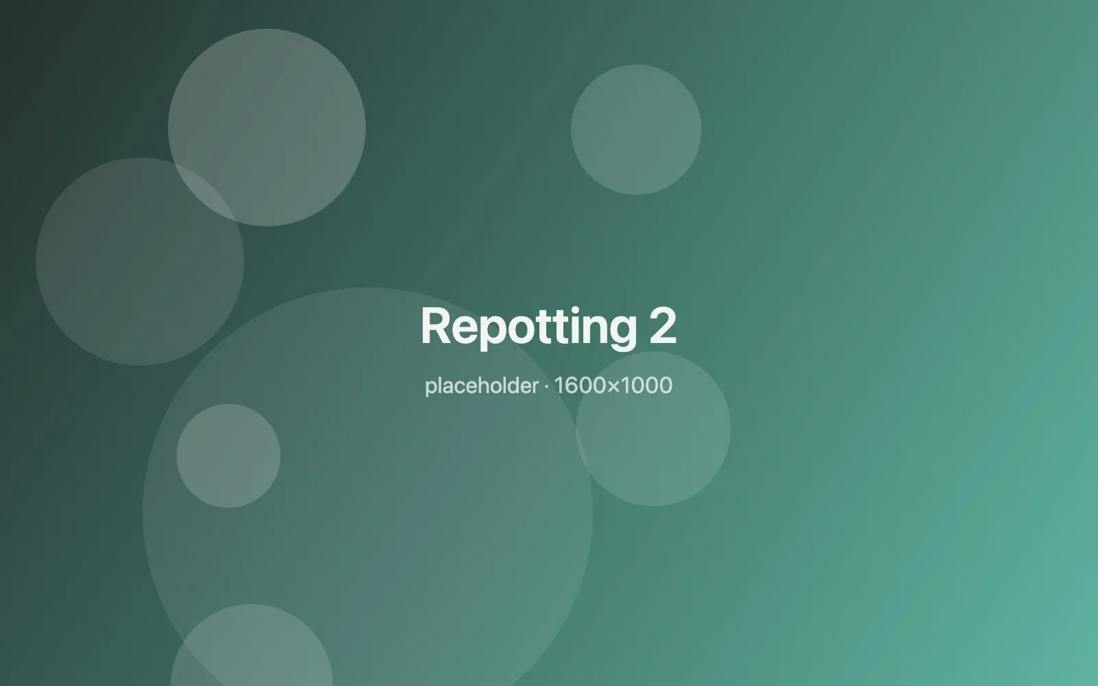 Placeholder image: Repotting 2
