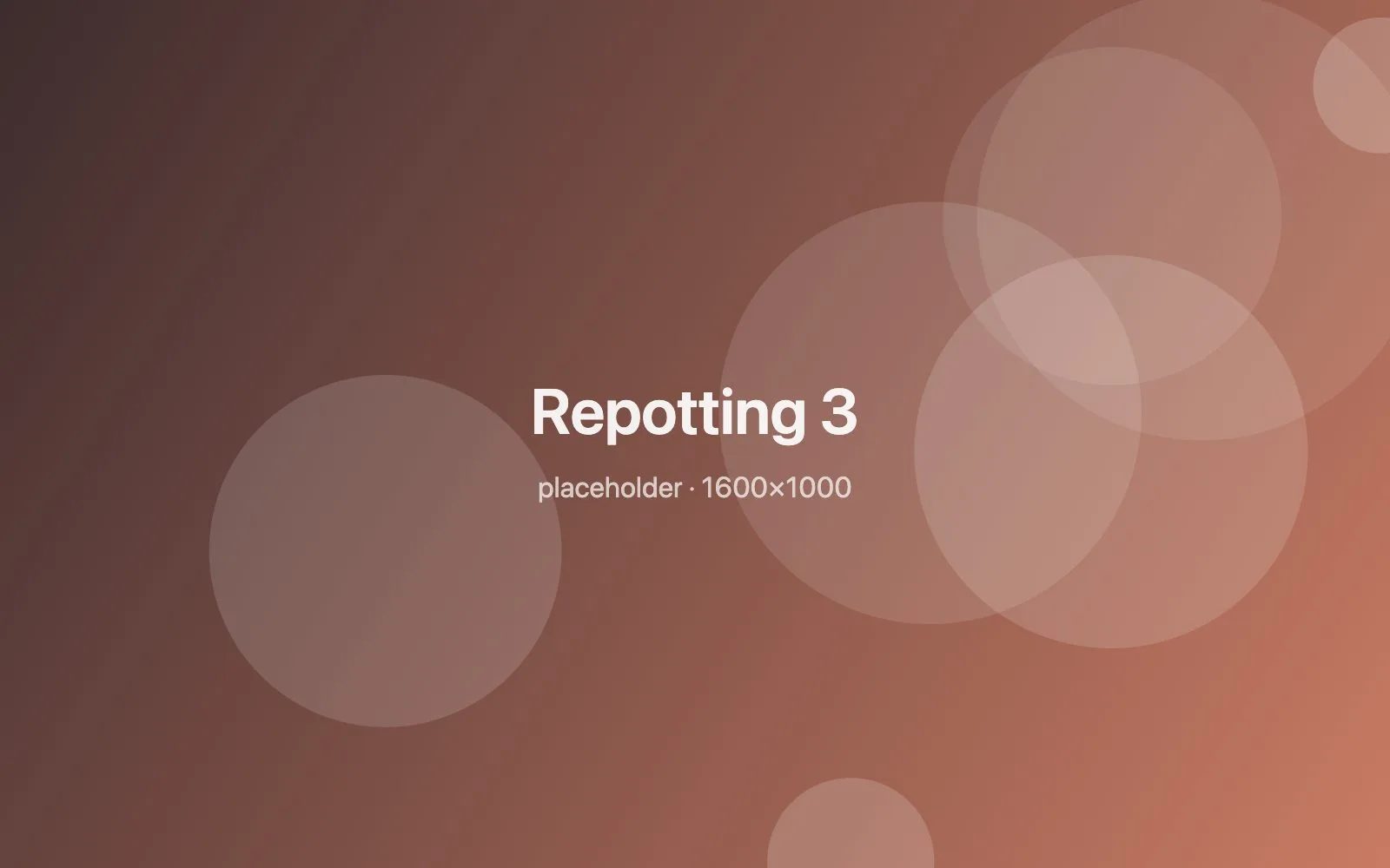 Placeholder image: Repotting 3