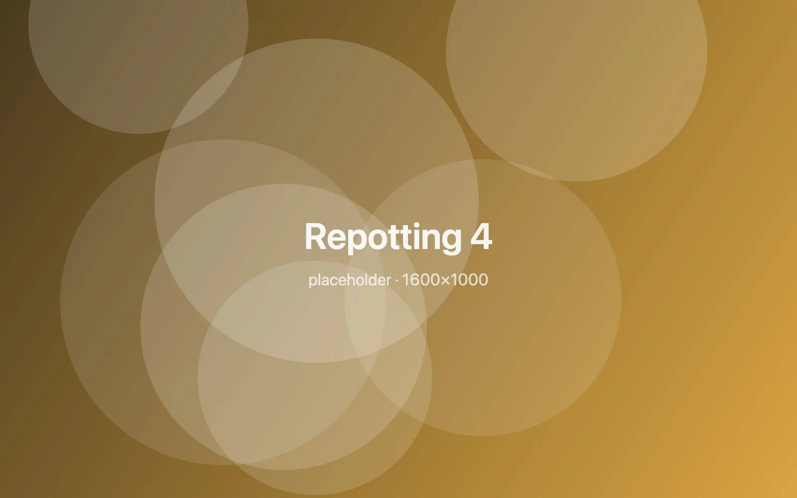 Placeholder image: Repotting 4